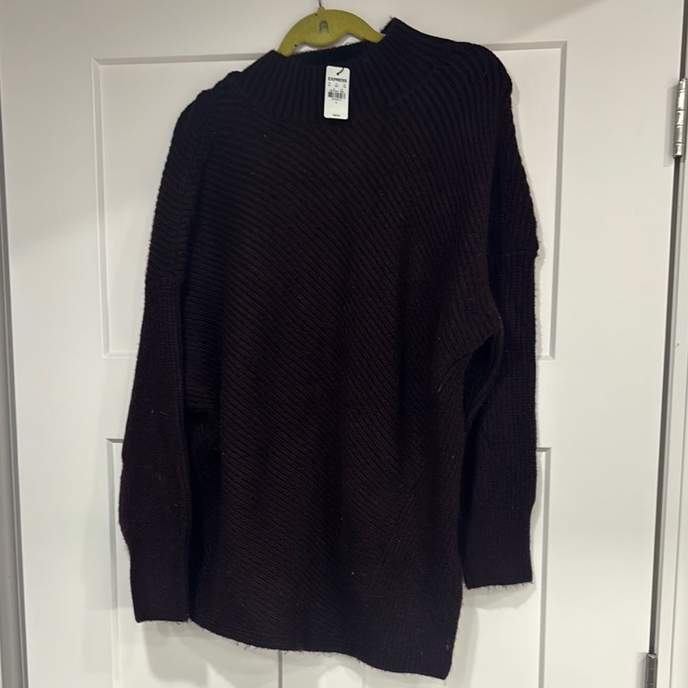 Express turtleneck sweater new with tags